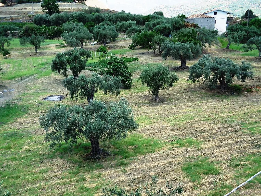 Bed & Breakfast Ciuscia Bed and Breakfast Calatabiano
